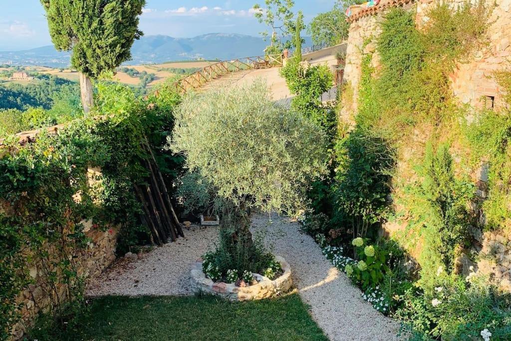 Il Borgo Di Olive Sismano Exterior foto