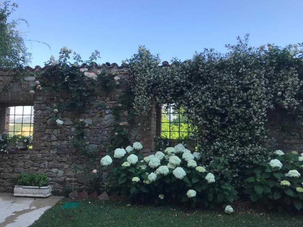 Il Borgo Di Olive Sismano Exterior foto