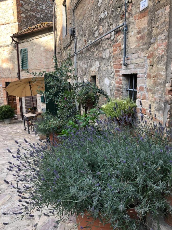 Il Borgo Di Olive Sismano Exterior foto