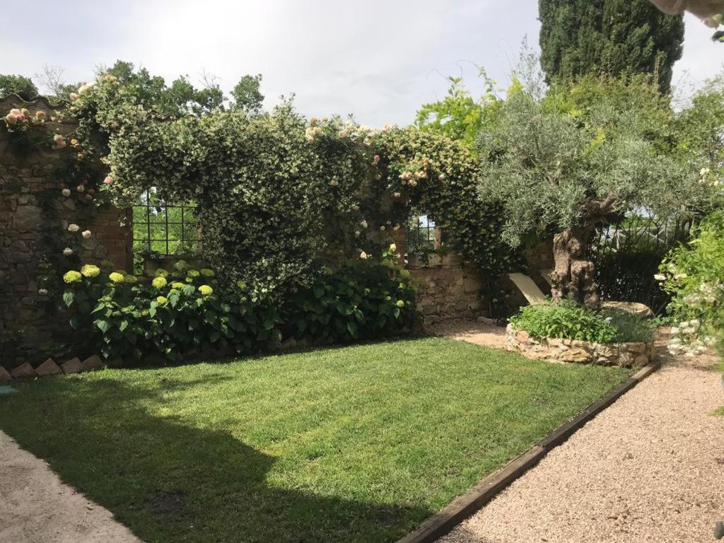 Il Borgo Di Olive Sismano Exterior foto