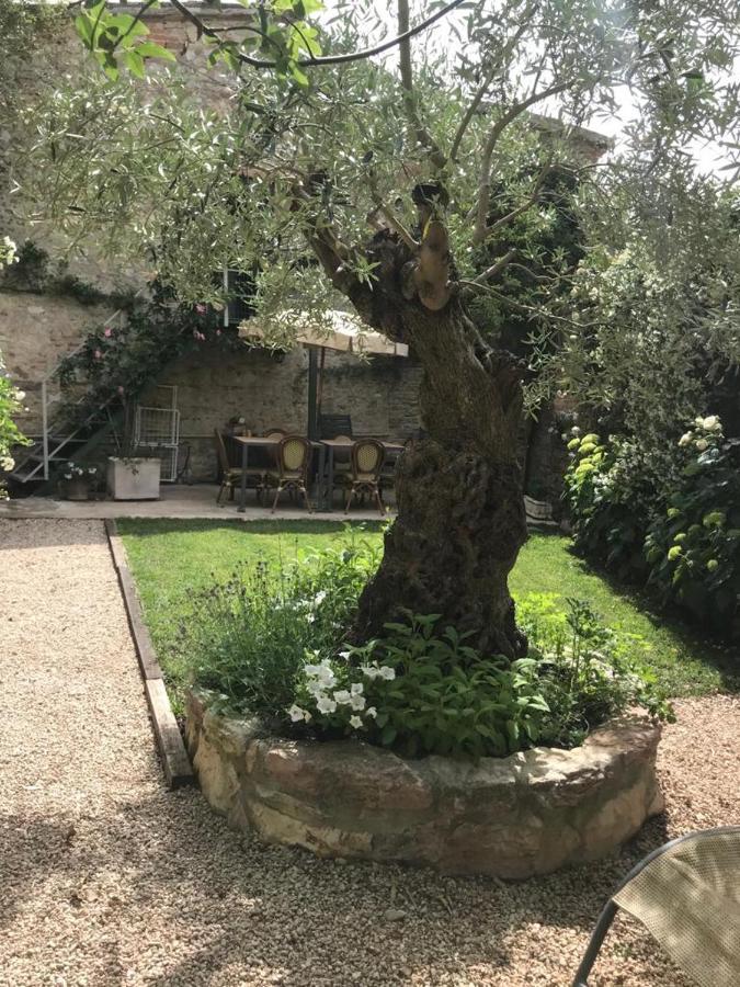 Il Borgo Di Olive Sismano Exterior foto