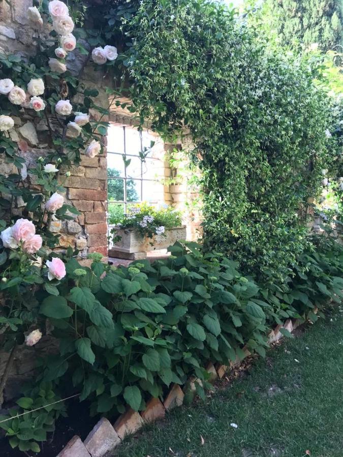 Il Borgo Di Olive Sismano Exterior foto